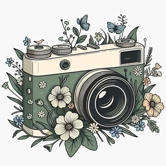 wildlife-photography-tours