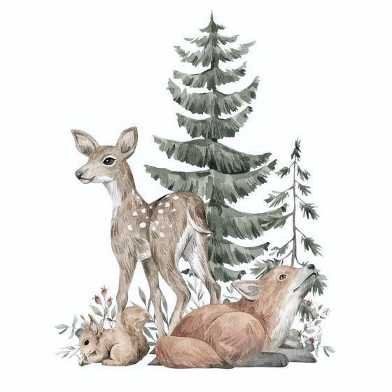 special-wildlife-spotting-tours